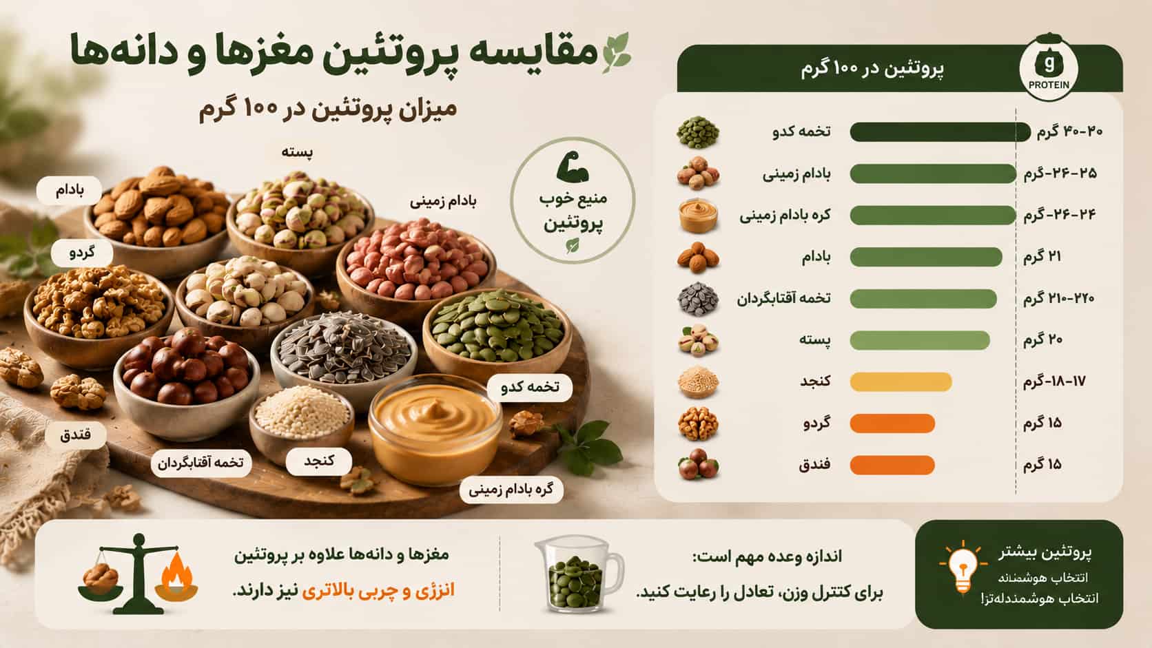 مقایسه پروتئین مغز ها